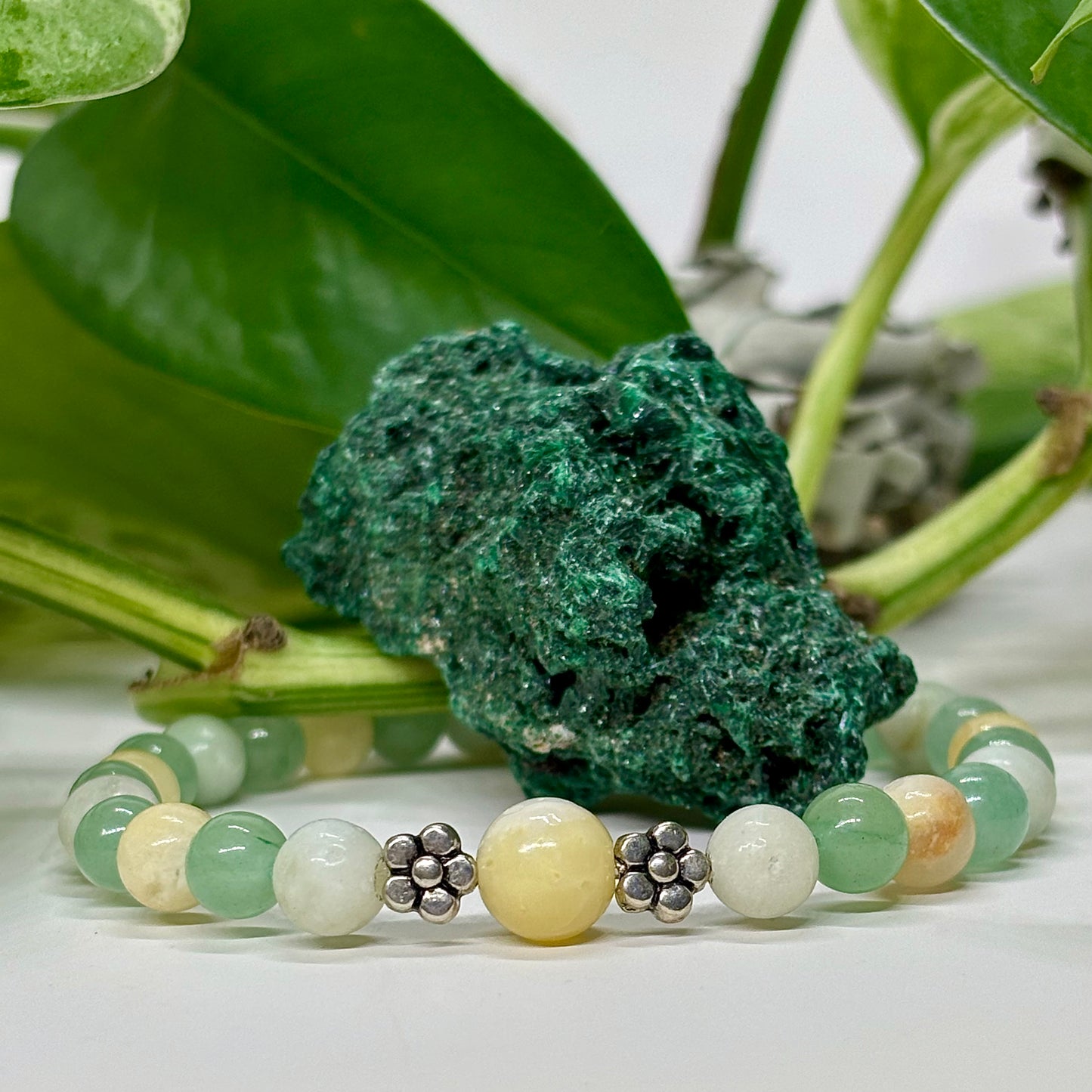 Health Harmony